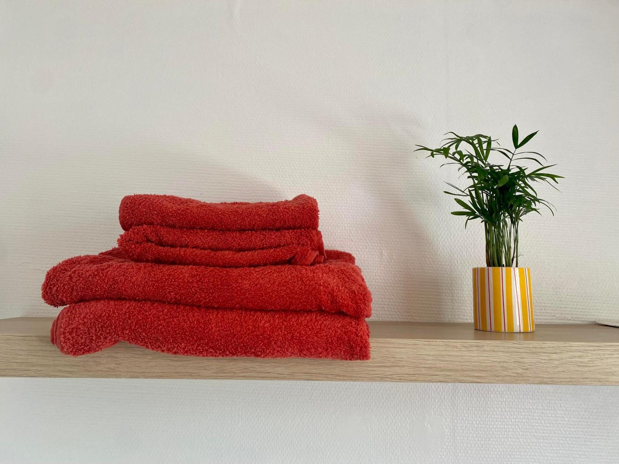 L'Ecrin Du General Apartment Armentieres Ngoại thất bức ảnh